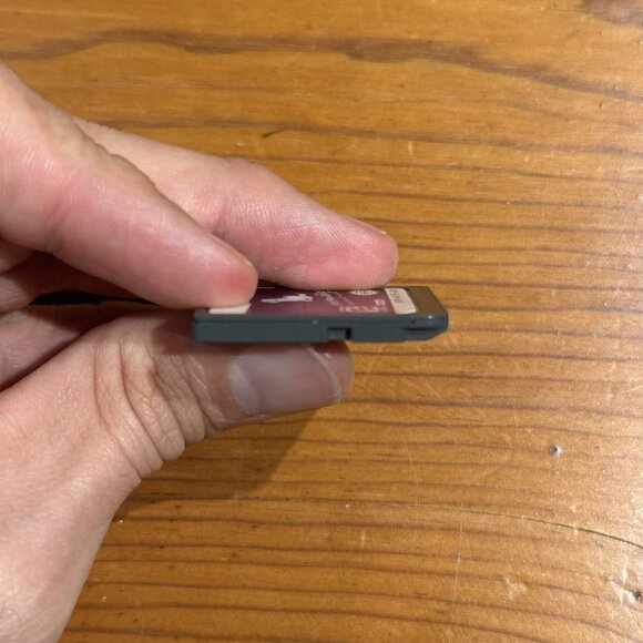 Nintendogs: Dalmatian & Friends (Nintendo DS, 2006) Tested Watch Video - Picture 6 of 6